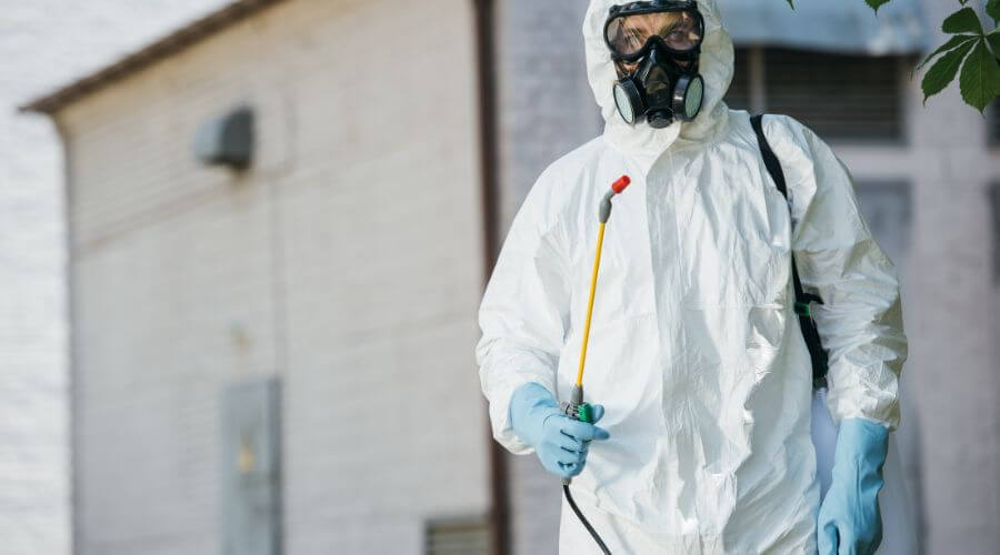 Professional commercial pest control services in Virginia Beach